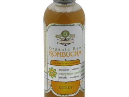 GTs Citrus Organic Raw Kombucha, 16 Oz (Pack of 12) For Sale