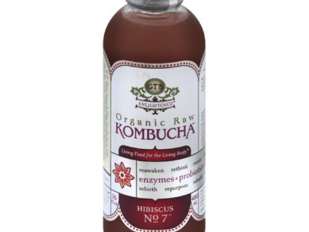 GTs Hibiscus No. 7 Organic Raw Kombucha, 16 Oz (Pack of 12) Online