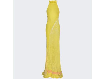 Roberta Einer | Women | Lily Sheer Dress | Yellow Cheap