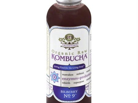 GTs Bilberry No. 9 Organic Raw Kombucha, 16 Oz (Pack of 12) Online