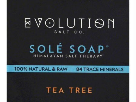 Evolution Salt Tea Tree Sole Soap, 4.5 OZ Online now