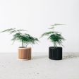 Set of 2 planters - JAPAN Hot on Sale