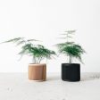 Set of 2 planters - JAPAN Hot on Sale