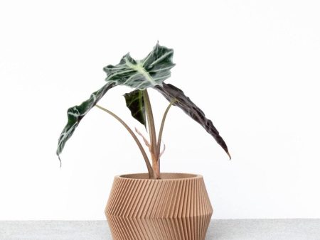 Unique Indoor plant pot - Beige, Black, Green, White, Terracotta - DISSIPAT Supply