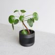 Indoor wooden planter - Beige, Black, Green, Mist White - Therma on Sale