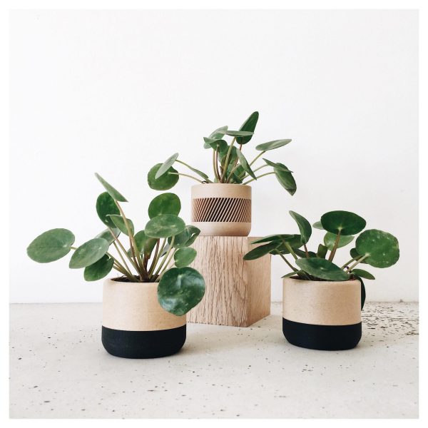 ECOTOOL Indoor Planter Online