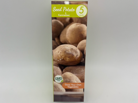 Potato - Kennebec | 5 Seeds For Cheap