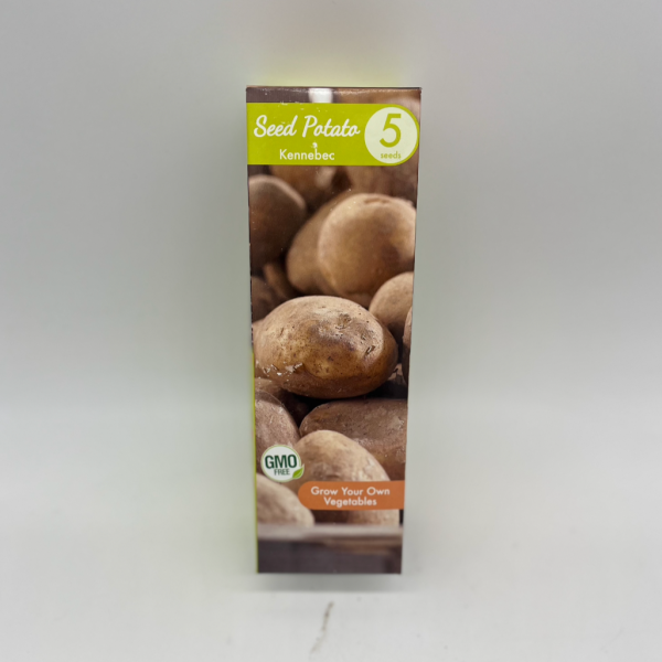 Potato - Kennebec | 5 Seeds For Cheap