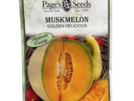 Muskmelon, Golden Delicious Seeds For Cheap