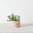 Indoor Planter - Beige, Black, Mist White, Green - Small and Large plant pot - DIAMANT Supply