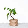 Indoor Planter - Beige, Black, Mist White, Green - Small and Large plant pot - DIAMANT Supply