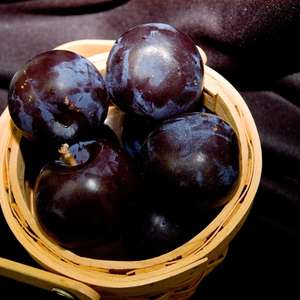 Bare Root - BlackIce Plum | Prunus ae Lydeckerae Sale