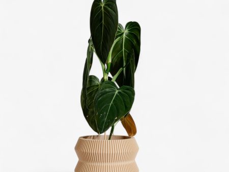 ITO Planter – Minimalist and sustainable Indoor Plant Pot Supply