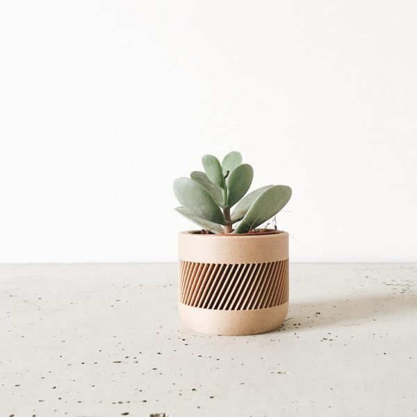 Indoor wooden planter - Beige, Black, Green, Mist White - Therma on Sale