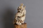 Shipwreck & Coral Conglomeration on Sale