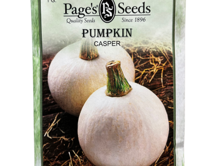 Pumpkin, Casper Seeds Online Sale