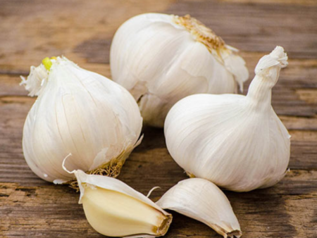 Garlic - California Softneck | 3 Bulbs For Cheap