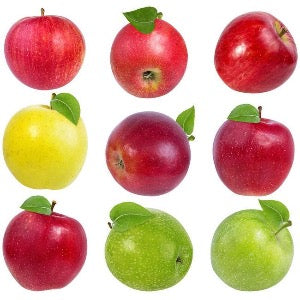 4n1 Apple | Malus domestica  4n1  Discount