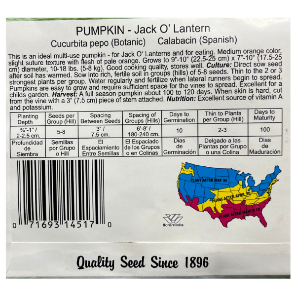 Pumpkin, Jack O  Lantern Sale