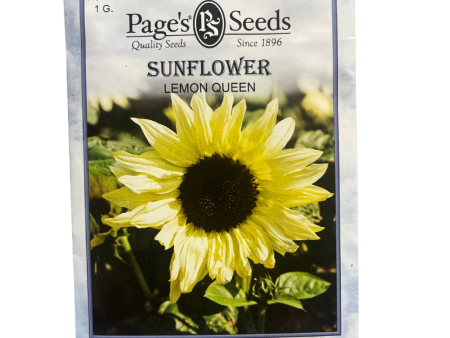 Sunflower - Lemon Queen Seeds For Discount