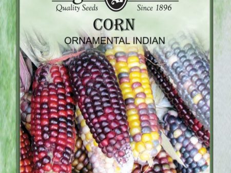 Corn, Ornamental For Sale