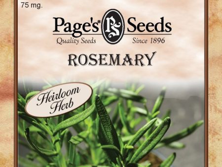 Rosemary, Herb Cheap