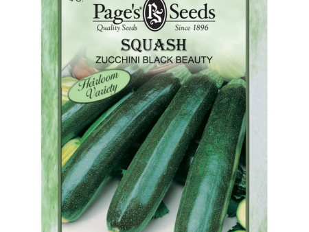 Squash - Black Beauty Zucchini Seeds Online now