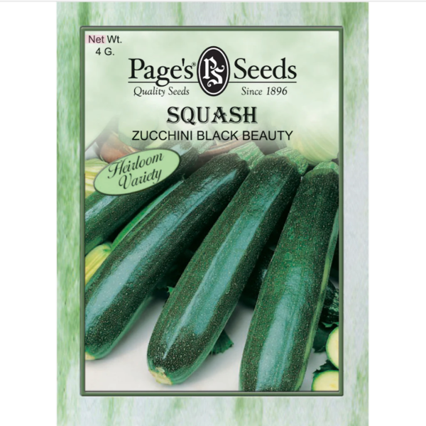 Squash - Black Beauty Zucchini Seeds Online now