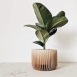 Minimalist Indoor Planter - Praha Supply