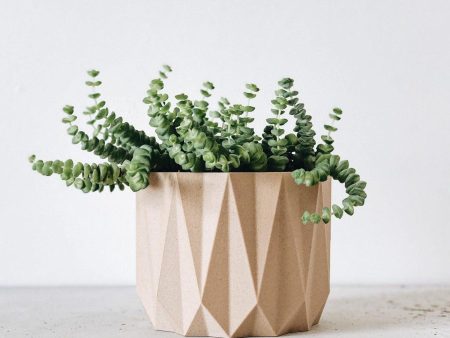 ORIGAMI Planter – Geometric Wood Planter for Succulents & Cacti, Eco-Friendly Design Online now