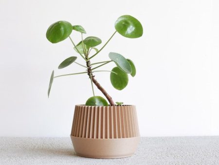 KOBE Indoor Planter Hot on Sale