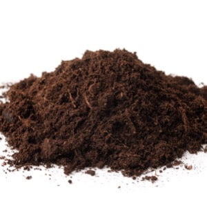 Peat Moss Online now