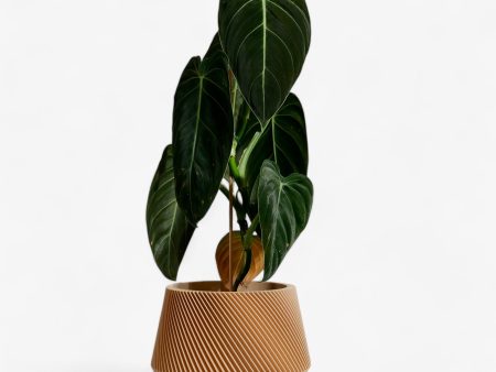 Geometric Wood Planter – OSLO For Sale