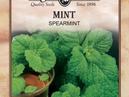 Mint Spearmint Herb Online Sale