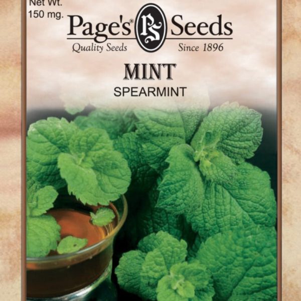 Mint Spearmint Herb Online Sale