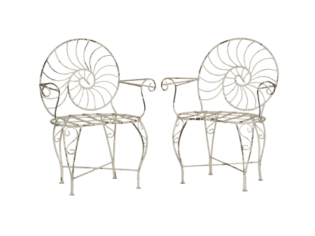 Nautilus Shell Back Chair Discount