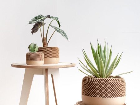 Large Indoor Planter - APPLE Cheap