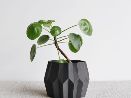 TOKYO Indoor Planter Online now