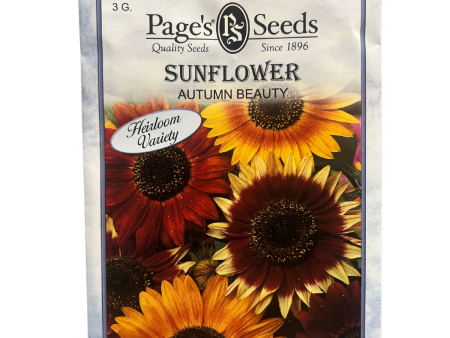 Sunflower - Autumn Beauty Seeds on Sale