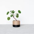 ECOTOOL Indoor Planter Online