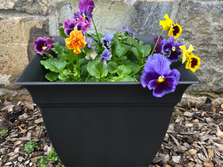 ‘Eclipse  Square Black Planter For Sale