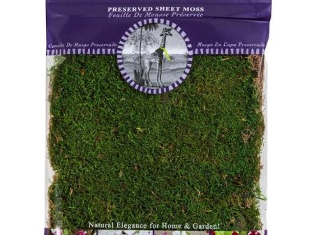 Bagged Sheet Moss For Sale