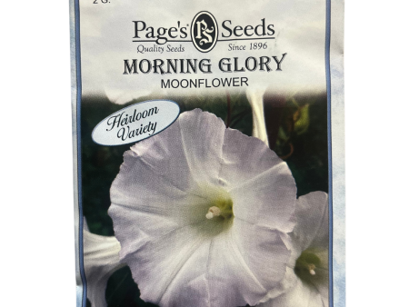 Morning Glory - Moonflower Seeds Online Sale