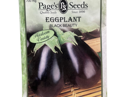 Eggplant, Black Beauty Supply