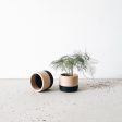 ECOTOOL Indoor Planter Online