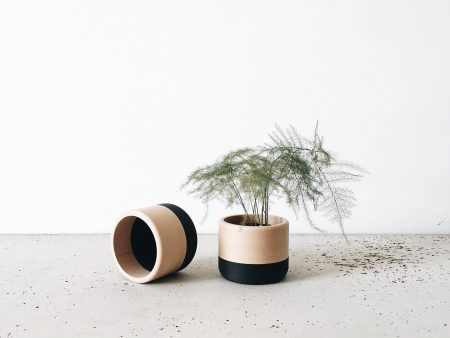 ECOTOOL Indoor Planter Online