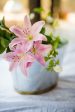 Bulbs - Oriental Lily Mixture For Cheap