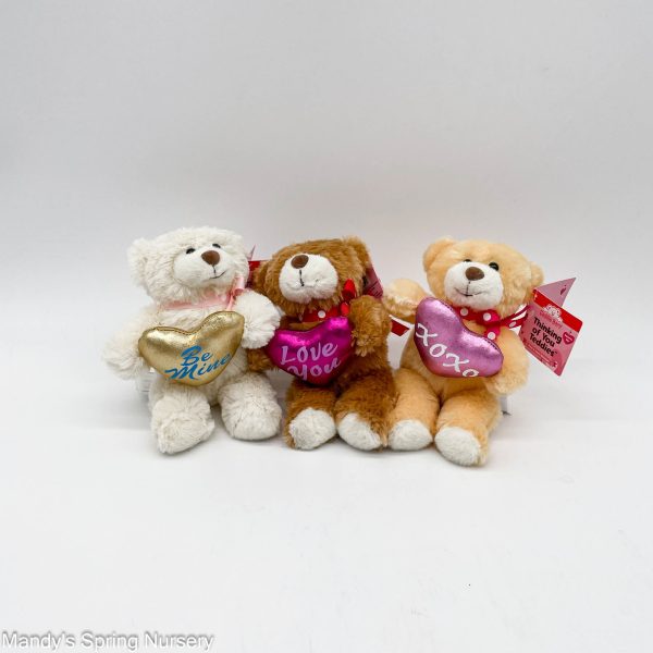 5  Teddy Squeezer (Assorted Colors) Discount