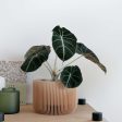 Minimalist Indoor Planter - Praha Supply