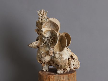 Shipwreck & Coral Conglomeration on Sale